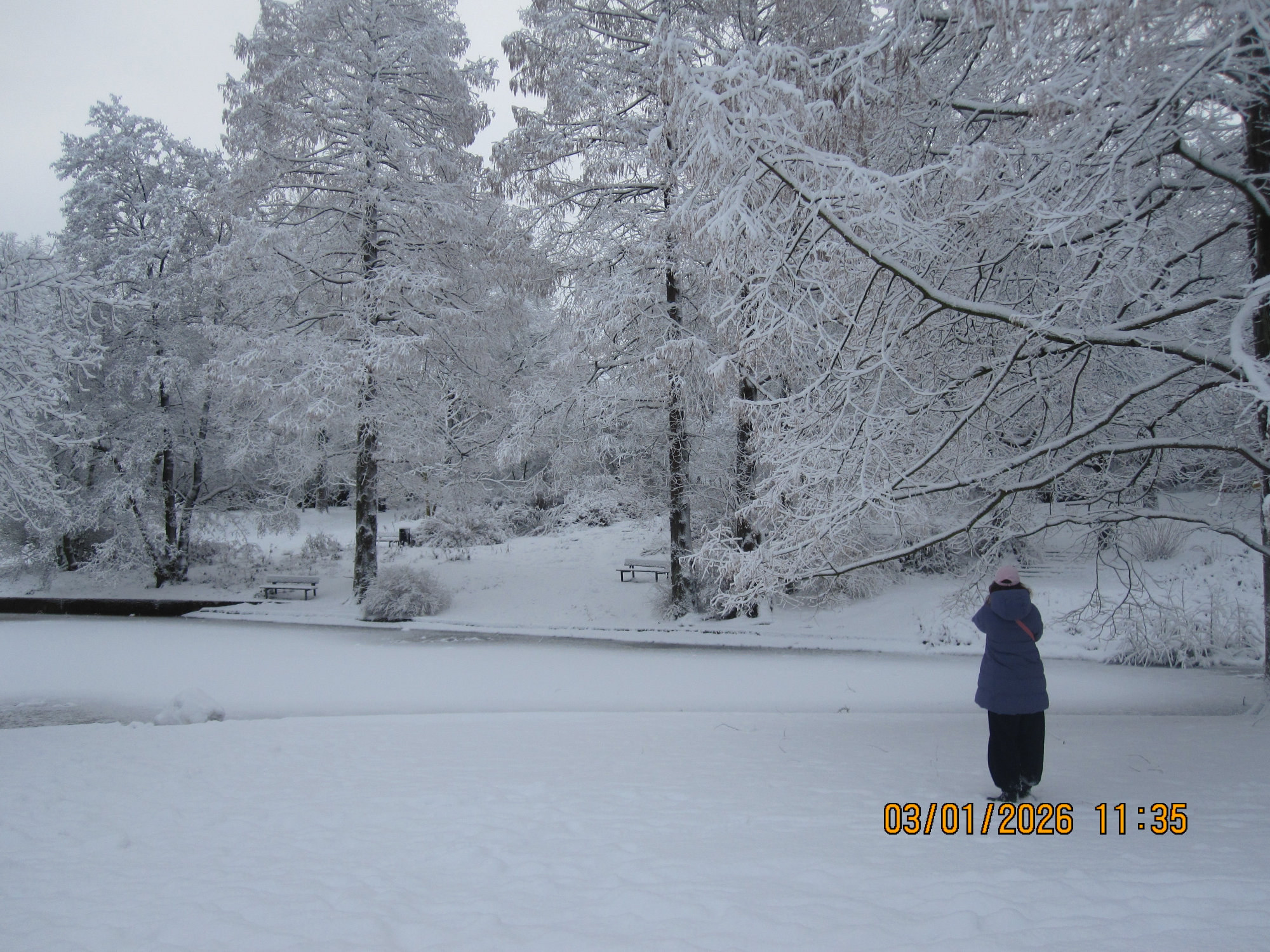 Snowy landscape with a person